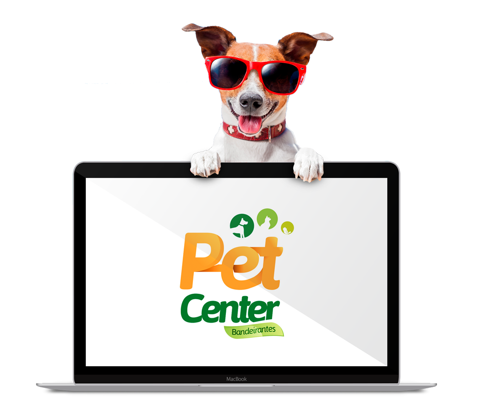 dog-pet-port